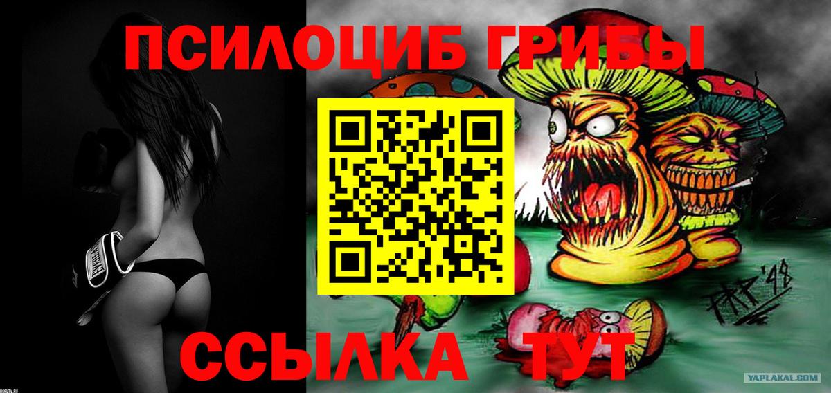 Псилоцибиновые грибы прущие грибы Тельмана