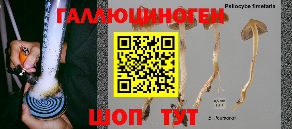 Тельмана  Галлюциногенные грибы MAGIC MUSHROOMS  Вход с VPN  Псилоцибиновые грибы GOLDEN TEACHER 